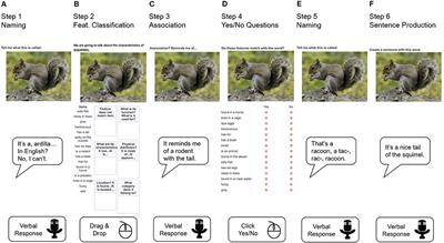 <mark class="highlighted">Telerehabilitation</mark> for Word Retrieval Deficits in Bilinguals With Aphasia: Effectiveness and Reliability as Compared to In-person Language Therapy